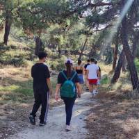 IMG_20240927_094935_original