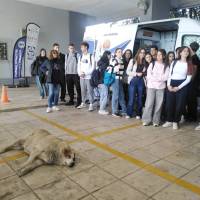 eikona_Viber_2025-10-30_14-45-39-520_original